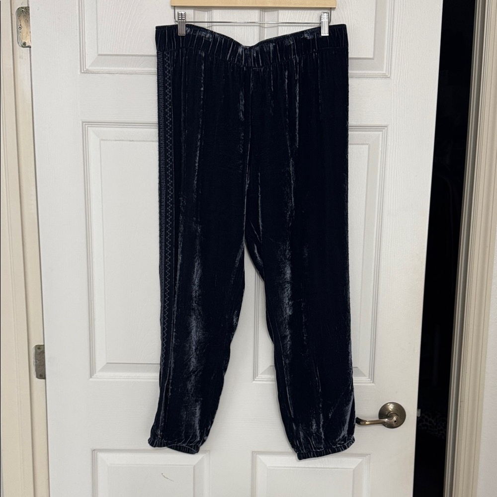 Johnny Was Blue Velvet Jogger Pants